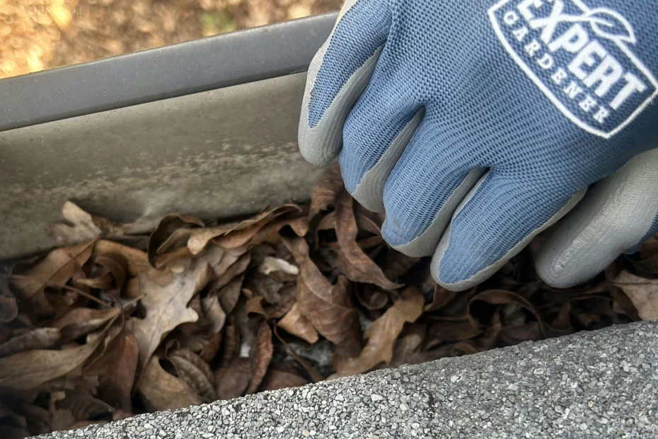 Gutter Cleaning Ballwin, MO